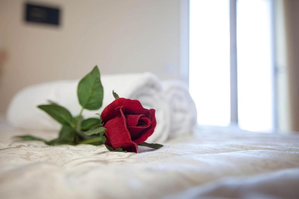 Hotel Ambassador Grottammare Room photo